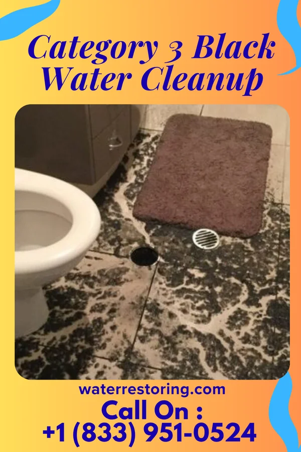 Category 3 Black Water Cleanup in Bloomingdale, TN