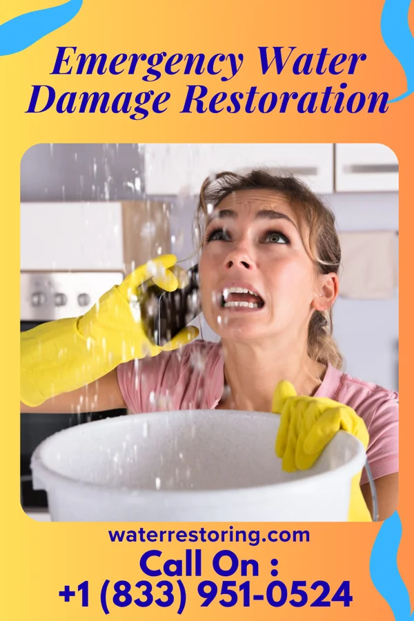 Emergency Water Damage Restoration in Bloomingdale, TN