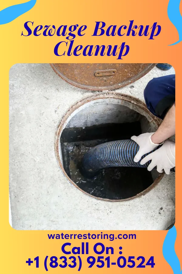 Sewage Backup Cleanup in Bloomingdale, TN
