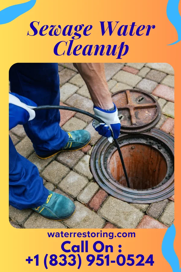 Sewage Water Cleanup in Bloomingdale, TN